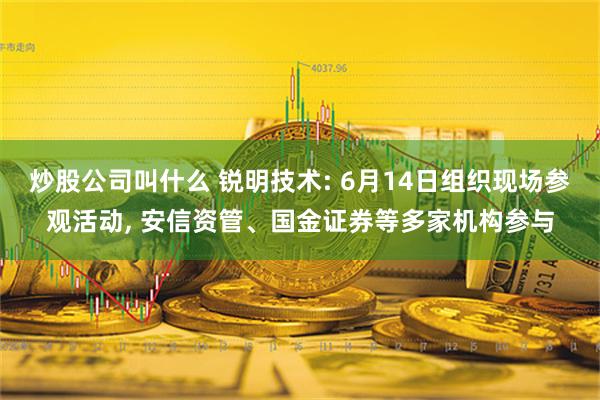 炒股公司叫什么 锐明技术: 6月14日组织现场参观活动, 安信资管、国金证券等多家机构参与