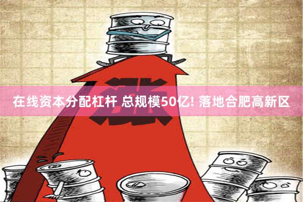 在线资本分配杠杆 总规模50亿! 落地合肥高新区