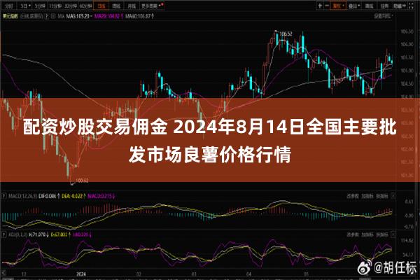 配资炒股交易佣金 2024年8月14日全国主要批发市场良薯价格行情