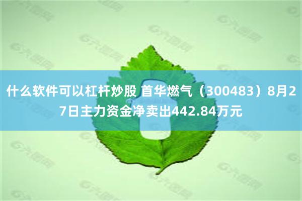 什么软件可以杠杆炒股 首华燃气（300483）8月27日主力资金净卖出442.84万元