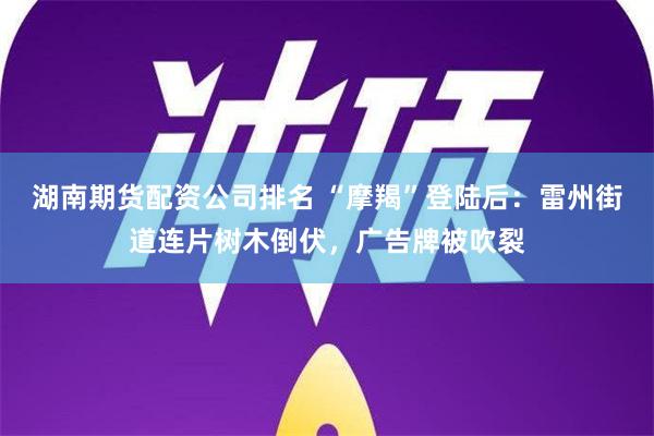 湖南期货配资公司排名 “摩羯”登陆后：雷州街道连片树木倒伏，广告牌被吹裂