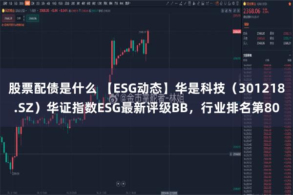 股票配债是什么 【ESG动态】华是科技（301218.SZ）华证指数ESG最新评级BB，行业排名第80