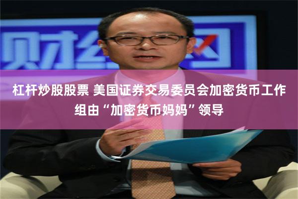 杠杆炒股股票 美国证券交易委员会加密货币工作组由“加密货币妈妈”领导