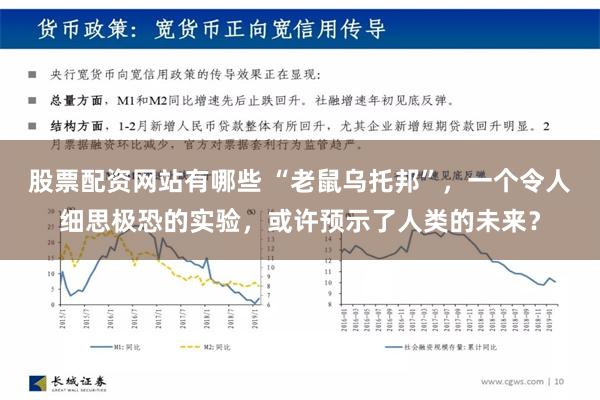 股票配资网站有哪些 “老鼠乌托邦”，一个令人细思极恐的实验，或许预示了人类的未来？